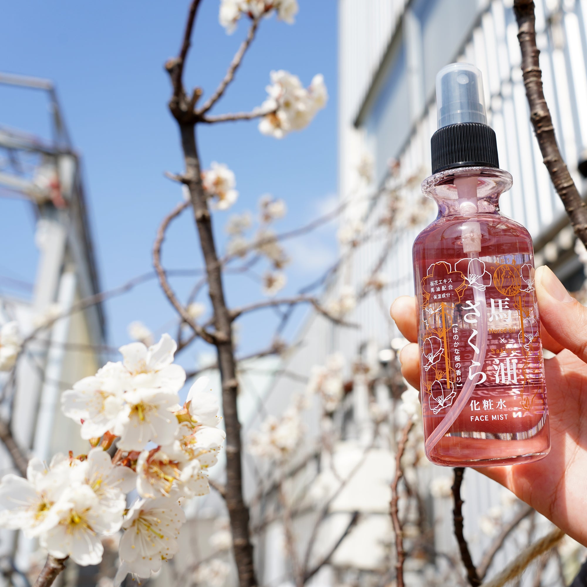 さくら リバース化粧水 40mL 2本 馬油さくら化粧水 150mL｜シュッと一吹きでお肌の保湿。ほのかな桜の